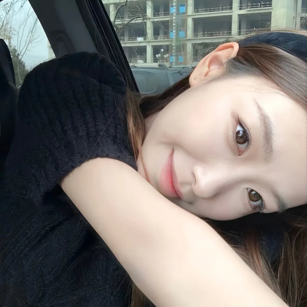 迪克切尼眼中的世界 海报