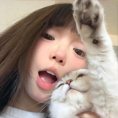 真相吧！花花万物 海报